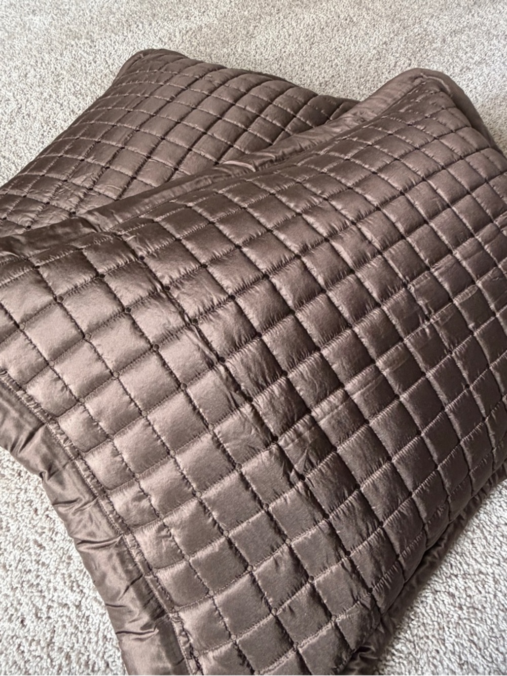 Restoration Hardware 2 100% Silk Quilt Pillow Shams Standard/Queen NWOT